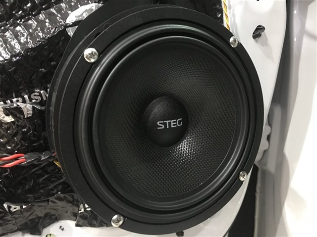 4.意大利史泰格SE650C中低音安装近照.jpg